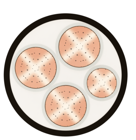 Cáp chống cháy FRN - CXV 3x - Ảnh 2